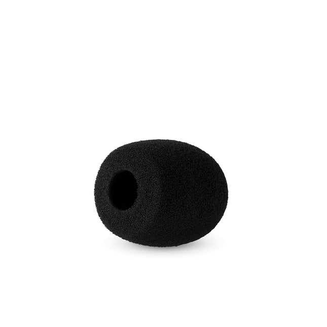 5cm Mic Foam (19/22)