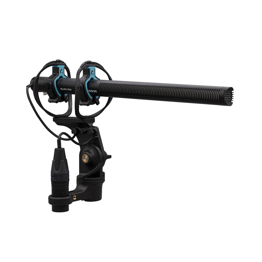 RAD-2 Shock-Mount, Exterior Boom