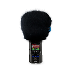 Zoom H5 Studio